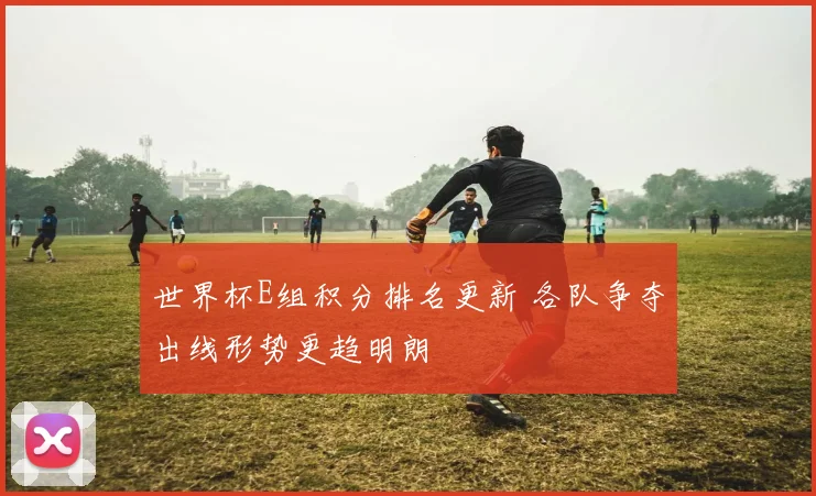 世界杯E组积分排名更新 各队争夺出线形势更趋明朗